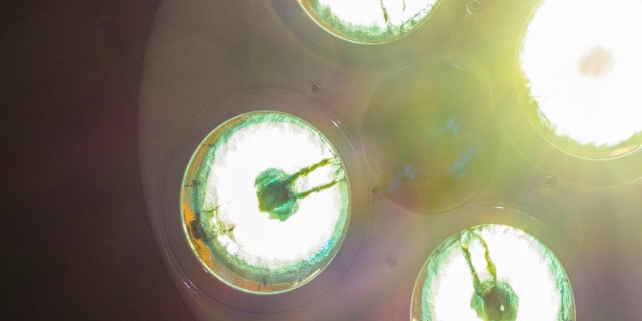 Investing - Hero - Eotm Blinded Science - 2880x1620 - 10 May 2022 - V1